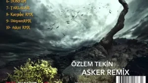 Özlem Tekin Asker Remix Albüm Kapağı