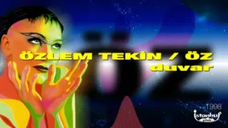 Özlem Tekin Duvar