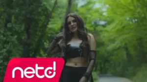 Parla Karakollar Gibi Albüm Kapağı