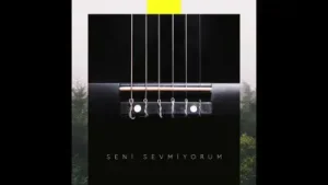 Patron Seni Sevmiyorum Albüm Kapağı