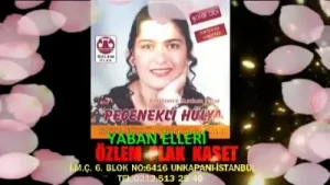 Peçenekli Hülya Yaban Elleri Albüm Kapağı