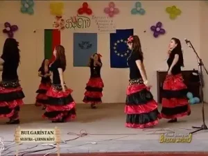 Pembe Şalvar Roman Havası Albüm Kapağı