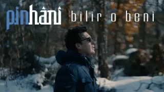 Pinhani Dünyanın En Güzel