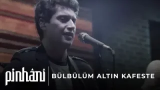 Pinhani Bülbülüm Altın Kafeste