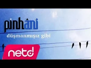 Pinhani Düşmanmışız Gibi Albüm Kapağı