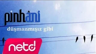 Pinhani Düşmanmışız Gibi