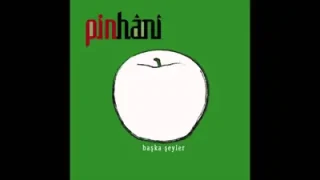 Pinhani Kendime Zararım