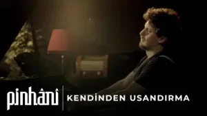 Pinhani Kendinden Usandırma Albüm Kapağı