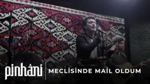 Pinhani Meclisinde Mai Oldum Albüm Kapağı