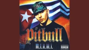Pitbull Shake It Up Feat. Oobie Albüm Kapağı