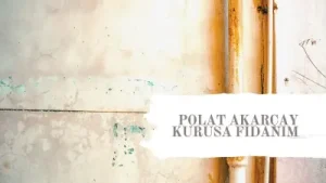 Polat Akarçay Kurusa Fidanım Albüm Kapağı