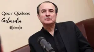 Qədir Məmmədov Gelmedin Albüm Kapağı