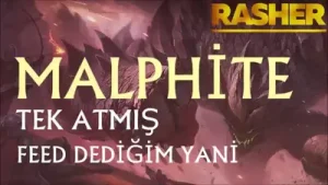 Rasher Bot Preyiz Biz Albüm Kapağı