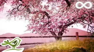 Relaxing Piano Music Romantic Music Beautiful Relaxing Music Sleep Music Stress Relief 122
