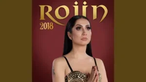 Rojin Çü Çü Remix Albüm Kapağı