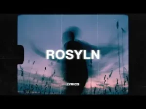 Rosyln Bon Iver St. Vincent