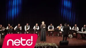 Sadiye Erimli Kar Çiçeğim Albüm Kapağı