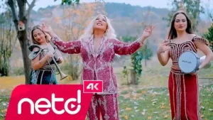 Safiye Soyman Nalın Dilber Albüm Kapağı