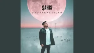 Şahıs Dip Albüm Kapağı