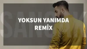Sancak Yoksun Yanımda Remix Albüm Kapağı