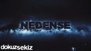 Sansar Salvo Nedense Ft. Koray Avcı