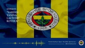 Sarının Yanına Lacivert Koyduk Albüm Kapağı