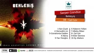 Sarper Gündüz Gel Gör