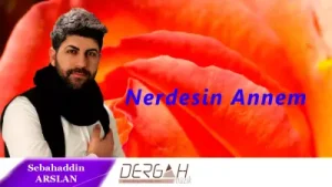 Sebahattin Arslan Nerdesin Annem Albüm Kapağı