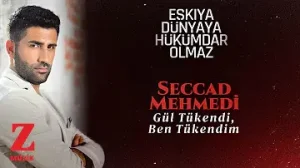 Seccad Mehmedi Gül Tükendi Ben Tükendim Albüm Kapağı