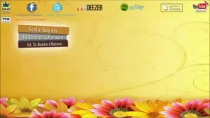 Seda Sayan Ya Benim Olursun Albüm Kapağı