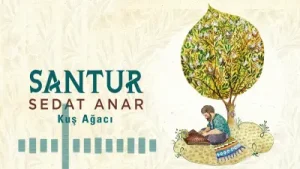 Sedat Anar Kuş Ağacı