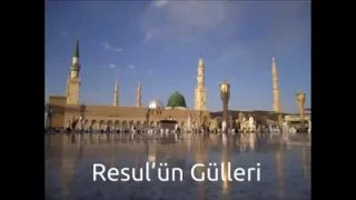 Sedat Uçan Resulün Gülleri