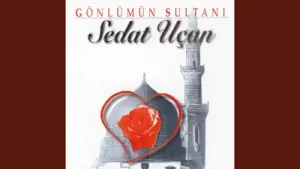Sedat Uçan Seferim Var Albüm Kapağı