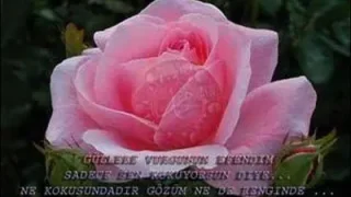 Sedat Uçan Sevdim Seni Mabuduma