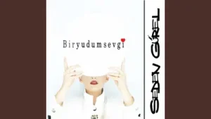 Seden Gürel Demedi Deme Albüm Kapağı