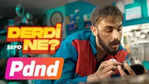 Sefo Derdi Ne Albüm Kapağı