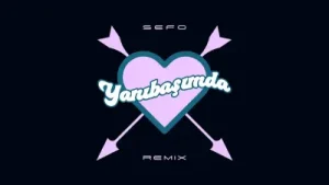 Sefo Yanıbaşımda Remix Albüm Kapağı
