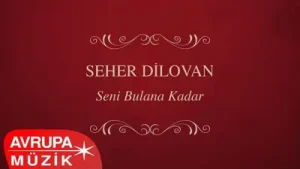 Seher Dilovan Beritan Albüm Kapağı