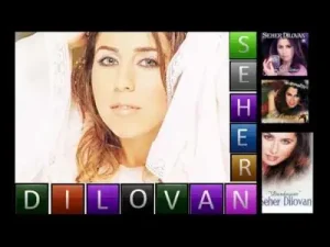 Seher Dilovan Hakka Gider Albüm Kapağı