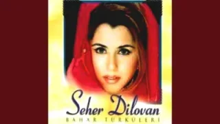 Seher Dilovan Lo Dilo