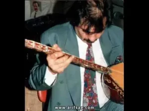Selda Bağcan Arif Sağ Yürüyorum Dikenlerin Üstünde Www Facebook Com Türkü Aşıkları Albüm Kapağı