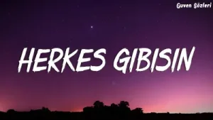 Semicenk Herkes Gibisin Sözleri Lyrics Semicenk Playlist One Little Lyrics Albüm Kapağı
