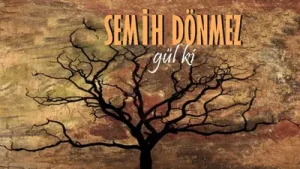 Semih Dönmez Gurbete Gidişimdir Albüm Kapağı