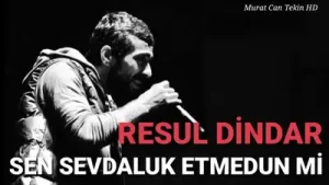 Sen Sevdaluk Etmedun Mi Albüm Kapağı