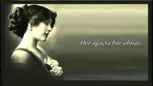 Senden Mene Yar Olmaz Albüm Kapağı