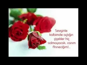 Seni Bir Kırçiçeği Gibi Koklayamam Sevemem Albüm Kapağı