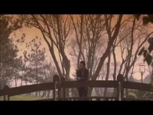 Şenol Akan Duyma Albüm Kapağı