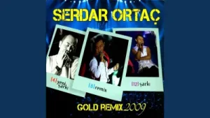 Serdar Ortaç Heyecan Erdem Kınay Remix Albüm Kapağı
