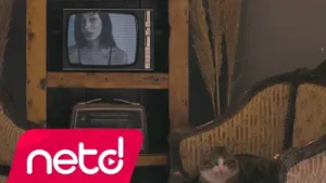 Serin Karataş Feat. Defkhan Kaderim Böyle Albüm Kapağı