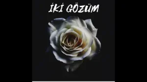 Serkan Gürkan – İki Gözüm